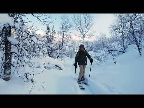 Roof Rack Accessory: Ski/Snowboard Carrier | Thule SnowPack L (732615)