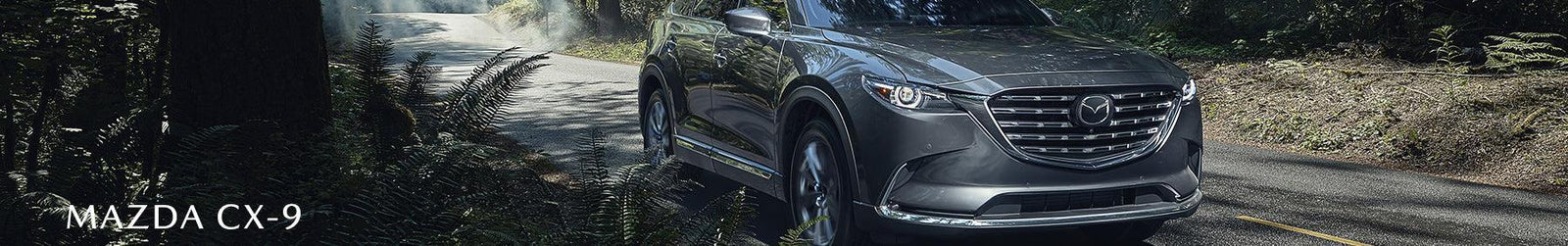 Mazda CX-9 banner