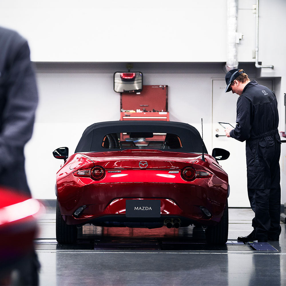 Service, Wheel Alignment