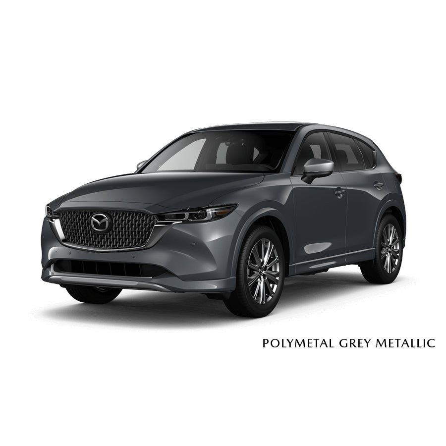 Premium Touch-Up Paint Pen | Mazda CX-5 (2022-2025)