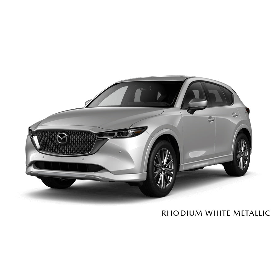 Rhodium White Metallic - 51K Premium Touch-Up Paint Pen Colour