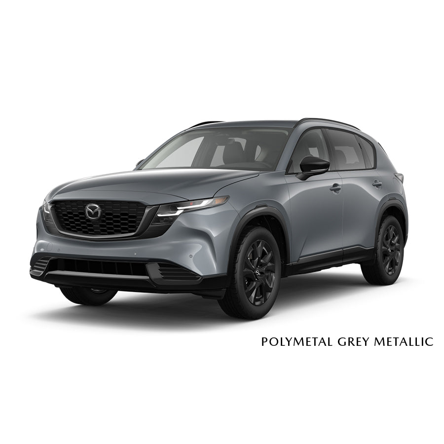 Gray SUV with 'Polymetal Grey Metallic' text on a white background