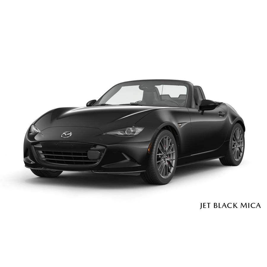 Jet Black Mica [41W] Premium Touch-Up Paint Pen Colour