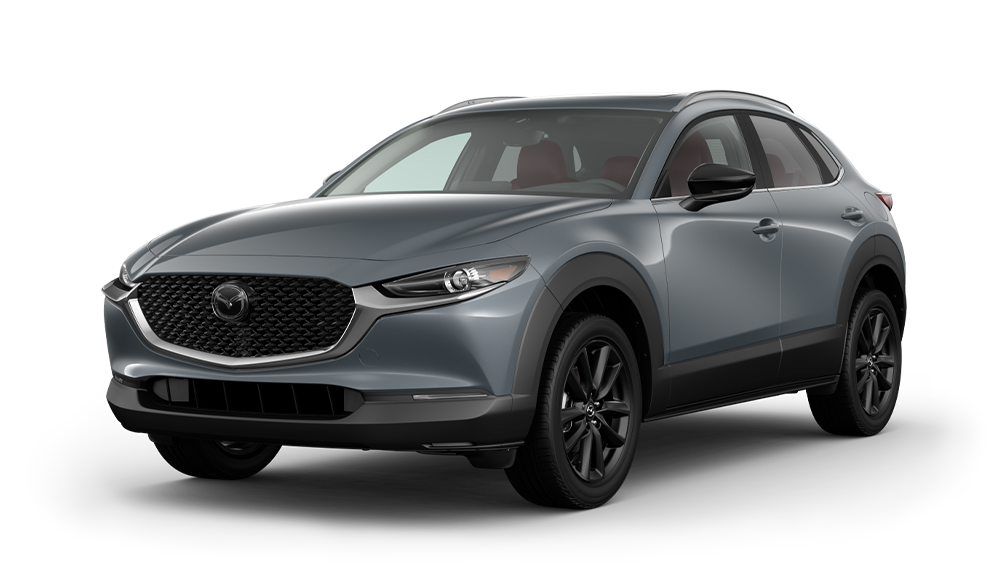CX-30 Mega Menu Logo