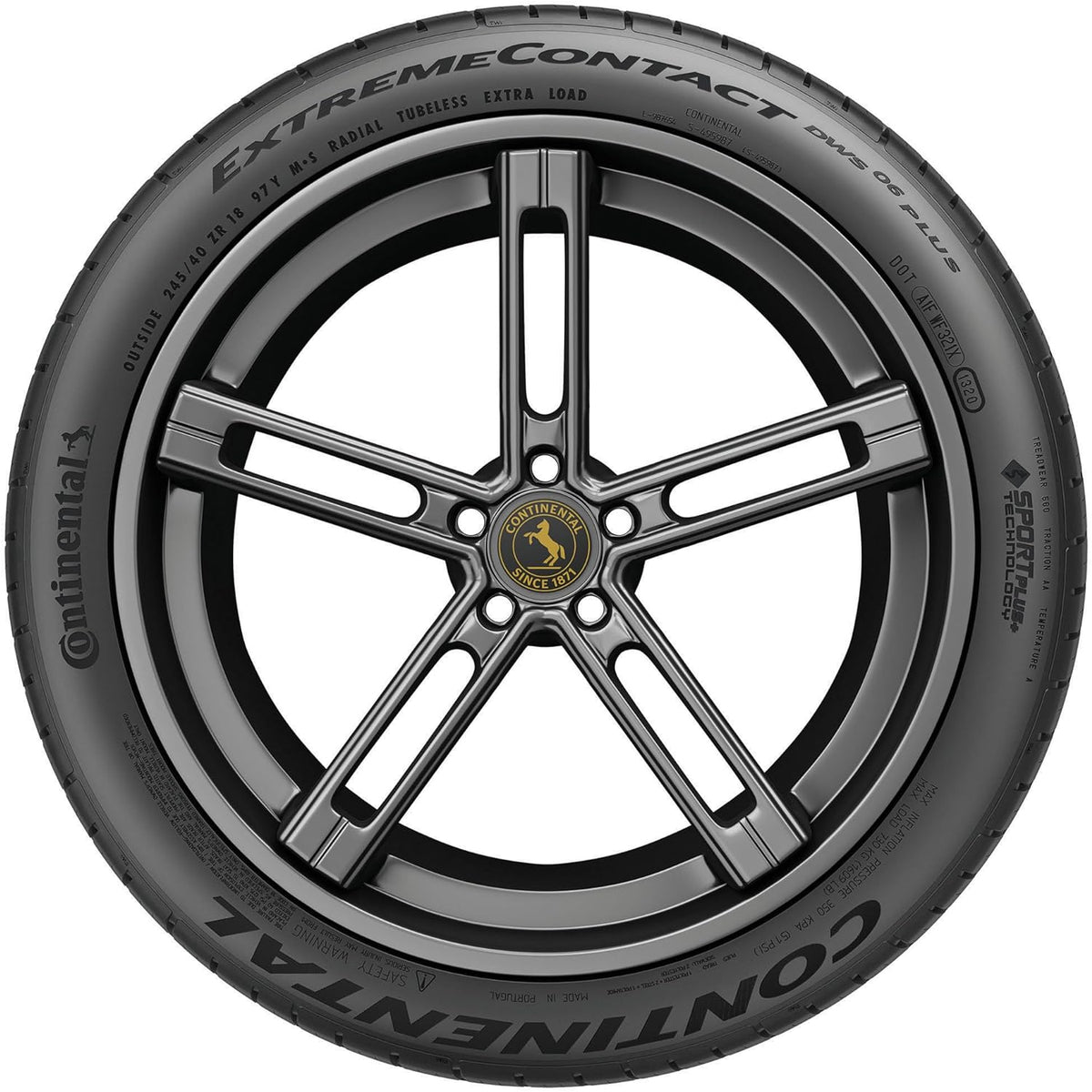 Continental ExtremeContact DWS06 Plus | All-Season Tire
