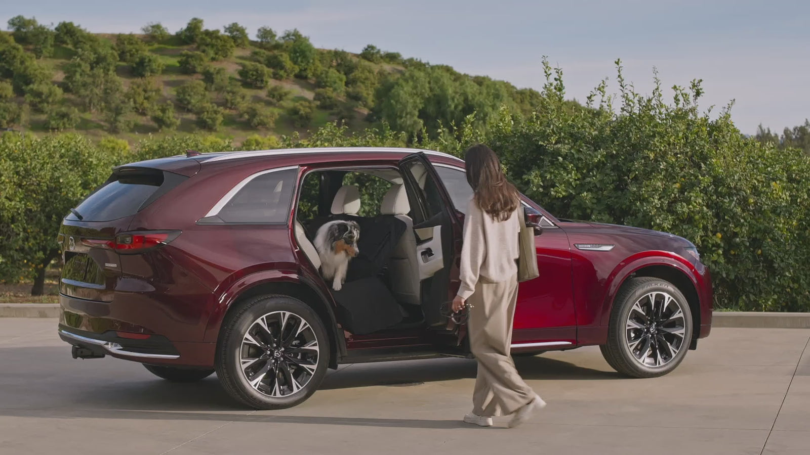 Pet Seat Protector | Mazda