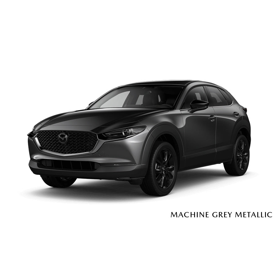 Premium Touch-Up Paint Pen | Mazda CX-30 (2020-2024)