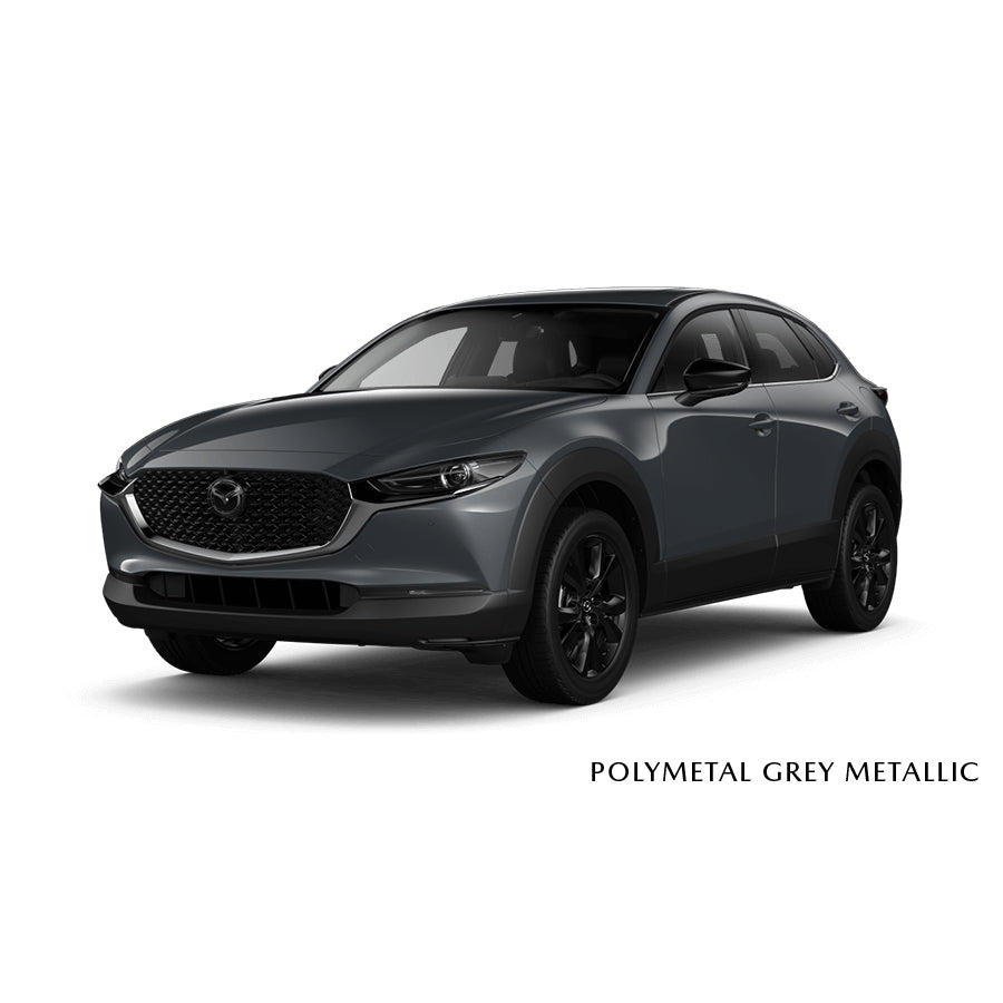 Premium Touch-Up Paint Pen | Mazda CX-30 (2020-2024)