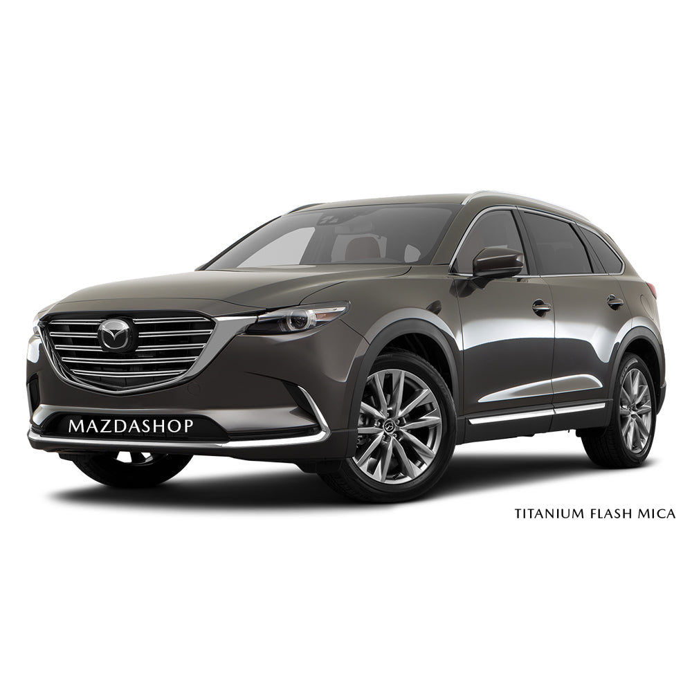 Titanium Flash Mica - 42S Premium Touch-Up Paint Pen Colour